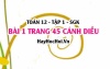 Bài 1 trang 45 Toán 12 tập 1 Cánh Diều